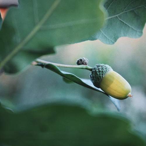 Photo #11382561