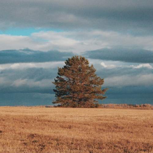 Photo #11382584