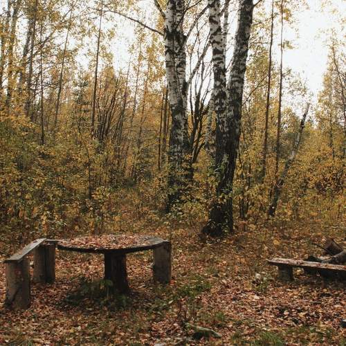 Photo #11382585