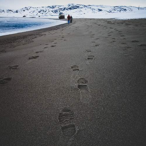 Photo #11382666