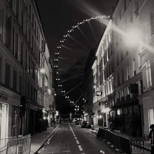 Photo #11382896