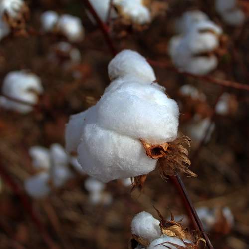 Photo #11382939