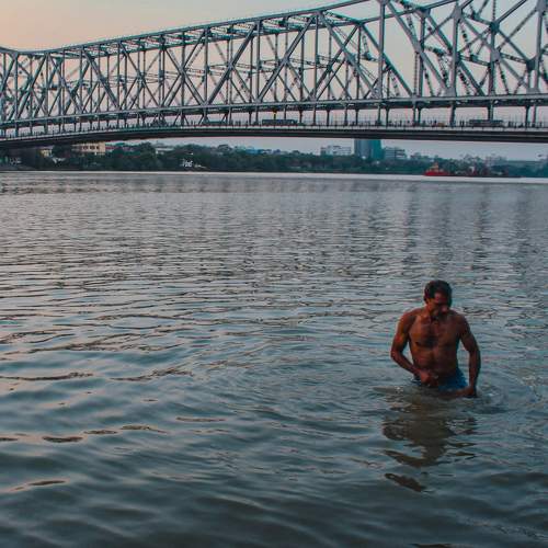 Photo #11383120