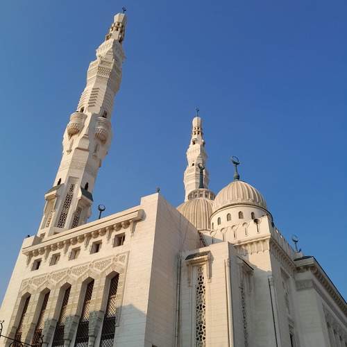 Photo #11383125