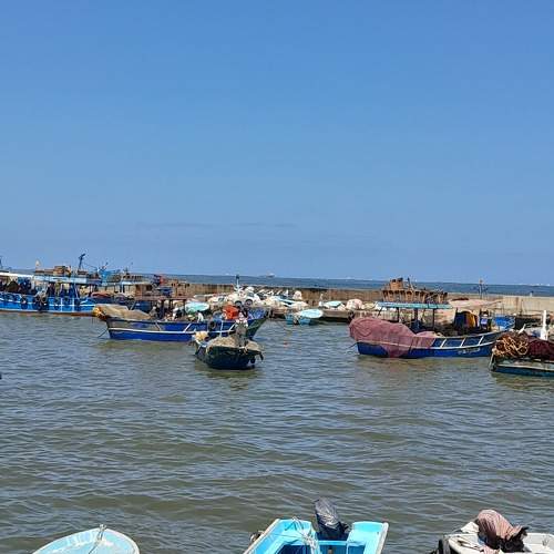 Photo #11383128