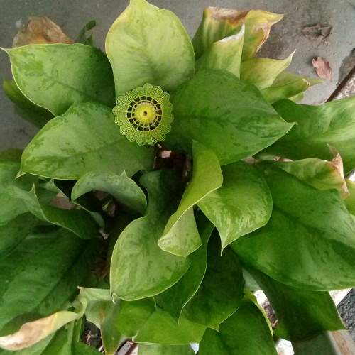 Photo #11383330