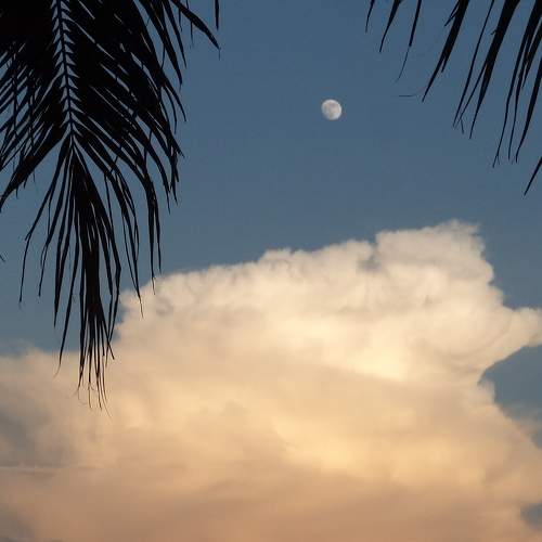 Photo #11383444