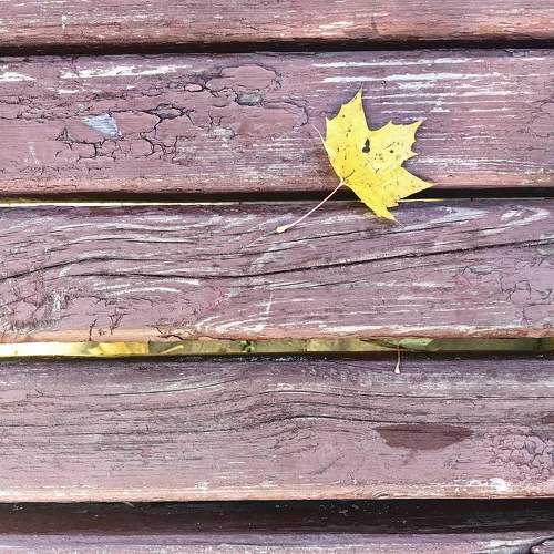 Photo #11383646