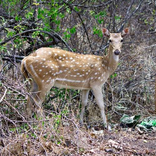 Photo #11383850