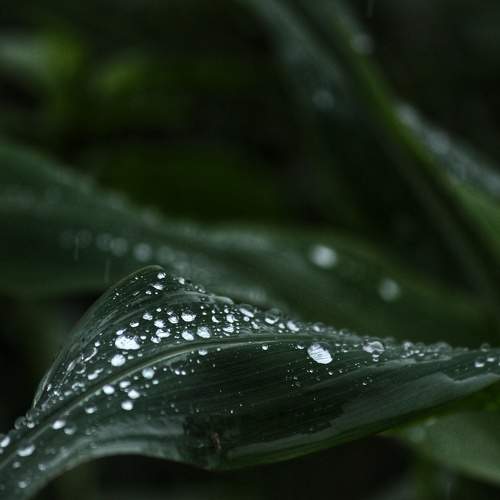 Photo #11384044