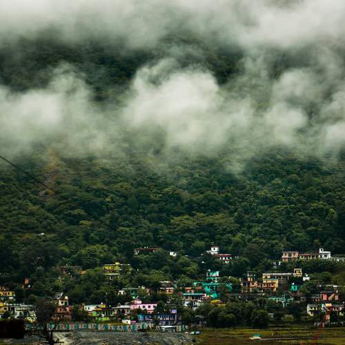 Photo #11384047