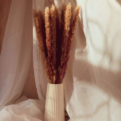 Photo #11384106