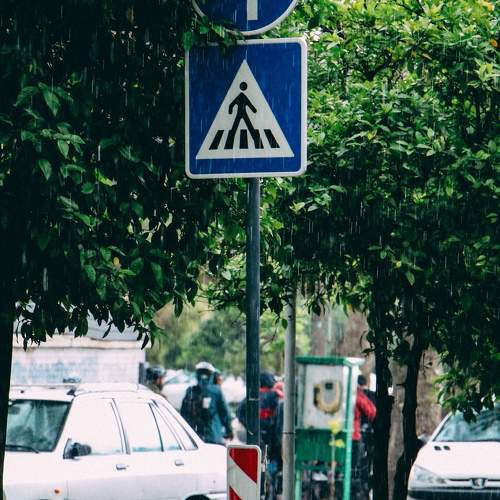 Photo #11384116