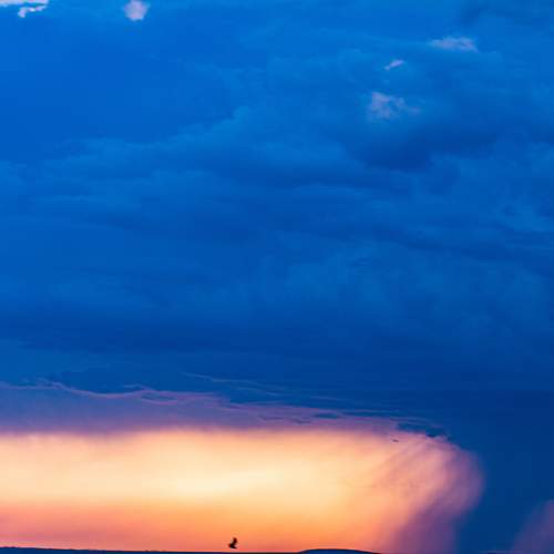 Photo #11384294