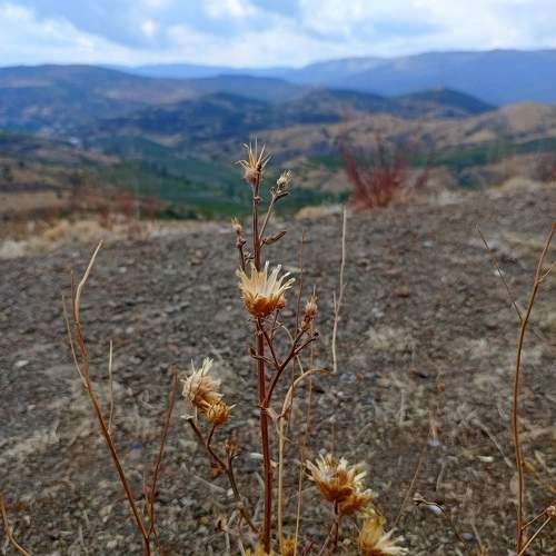 Photo #11384387