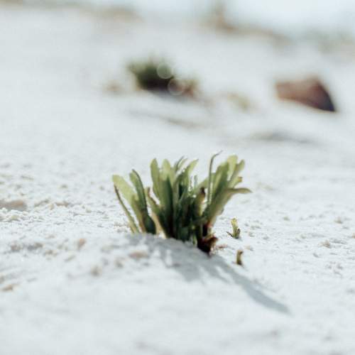 Photo #11384486