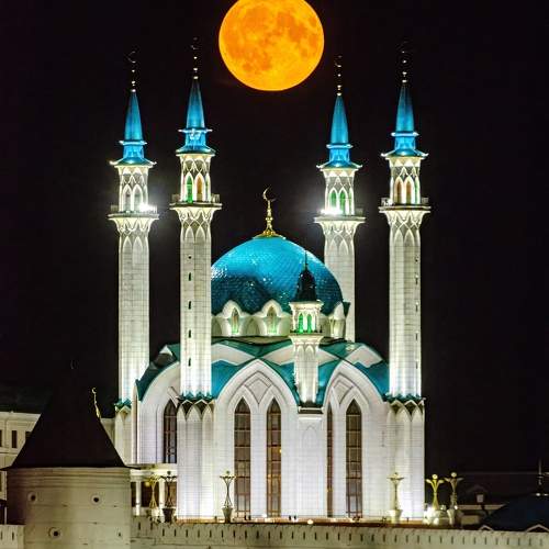 Photo #11384563