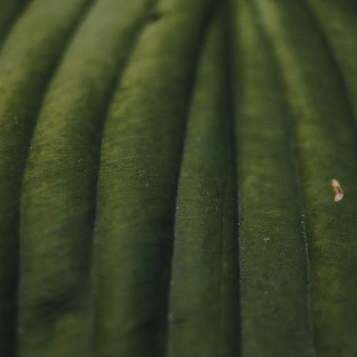 Photo #11384616
