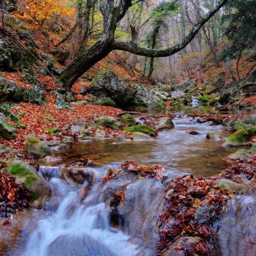 Photo #11384794