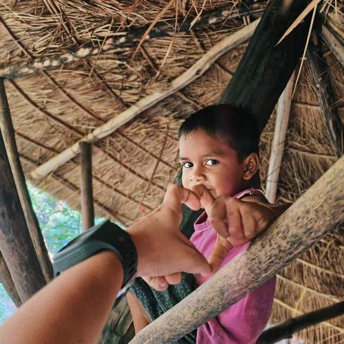 Photo #11385338