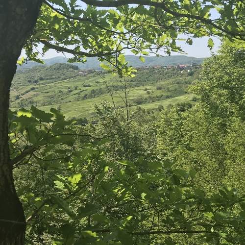 Photo #11385513