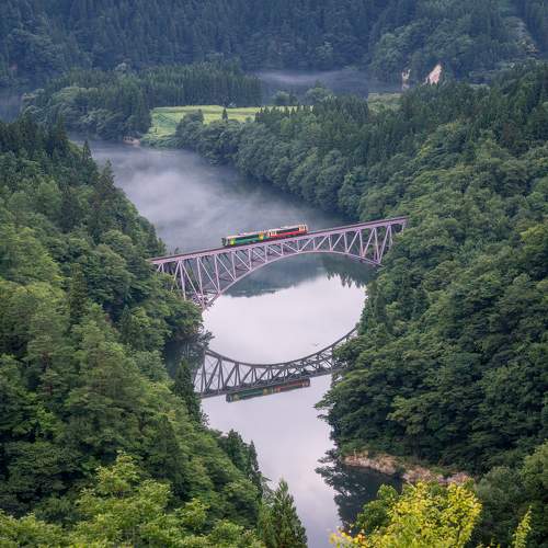 Photo #11385641