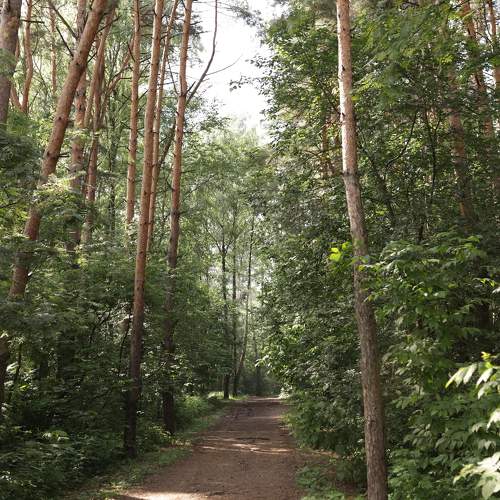 Photo #11385833