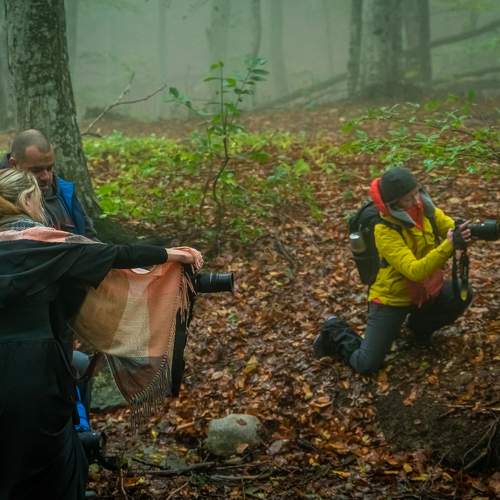 Photo #11386001