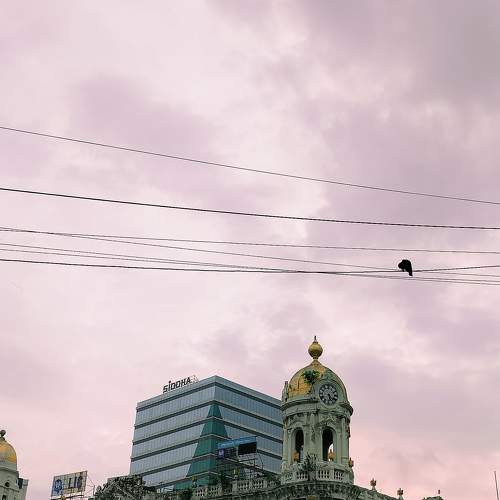 Photo #11386046