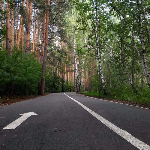 Photo #11386230