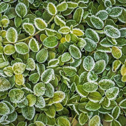 Photo #11386526