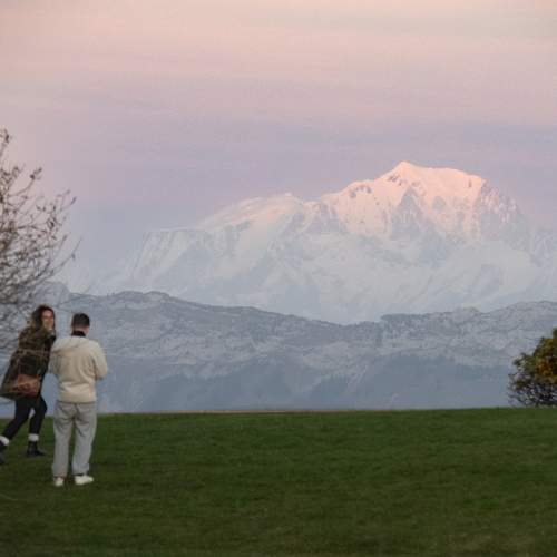 Photo #11386530