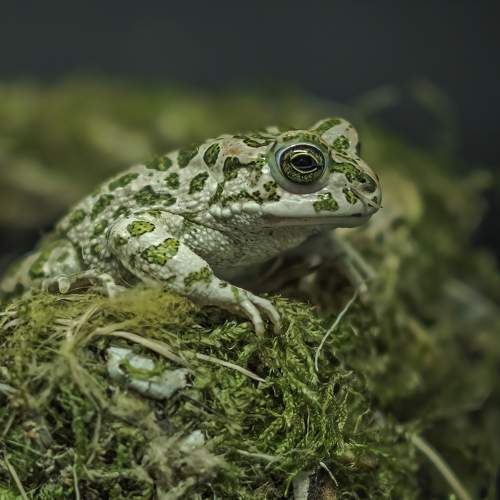 Photo #11386566
