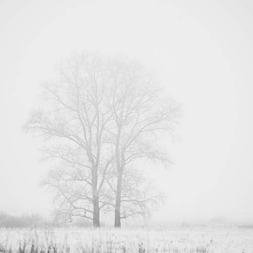 Photo #11386814