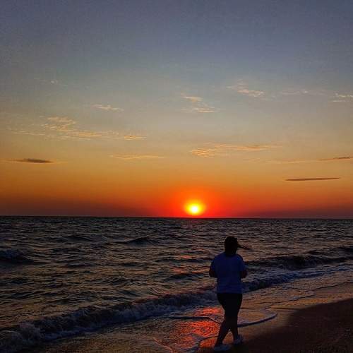 Photo #11386864