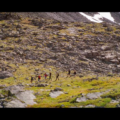 Photo #11386868