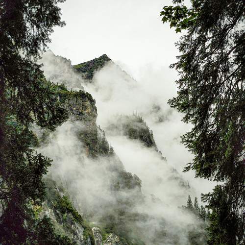 Photo #11387168