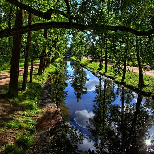 Photo #11387257