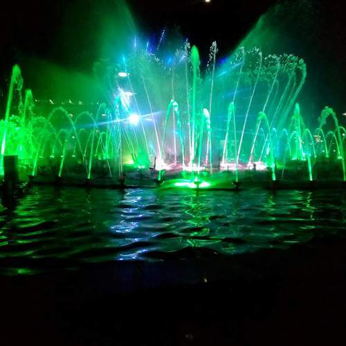 Photo #11387460