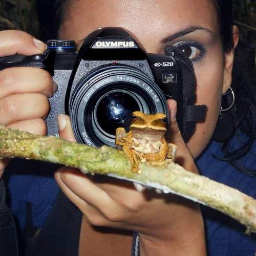 Photo #11387508