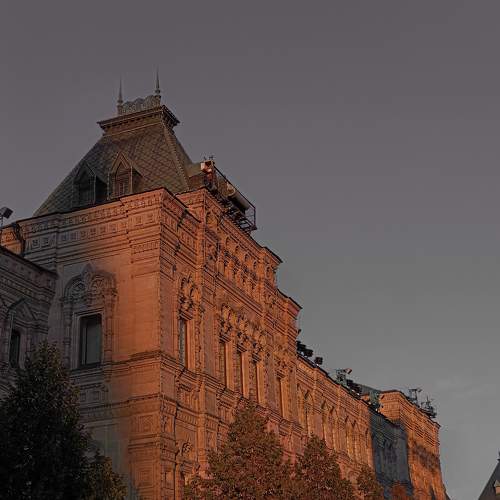 Photo #11387537