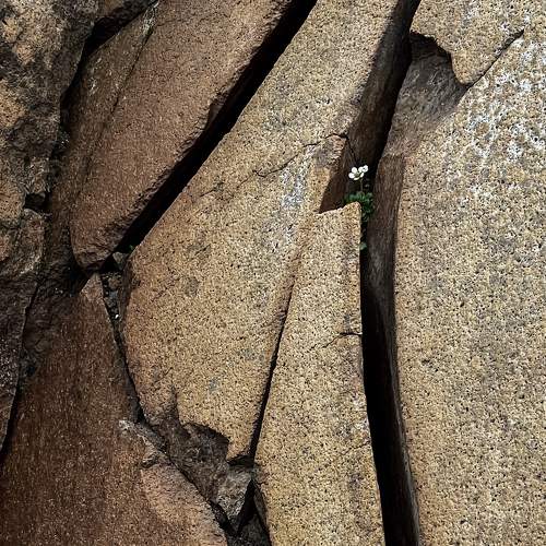 Photo #11387921