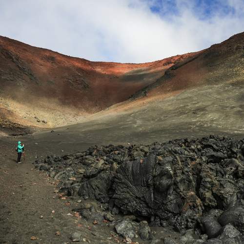 Photo #11387922