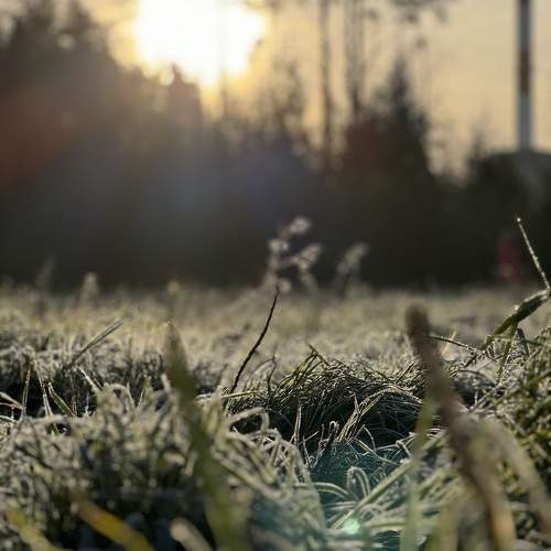 Photo #11387958