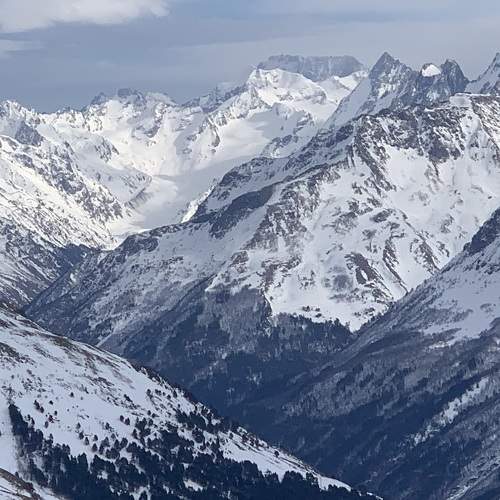 Photo #11388047