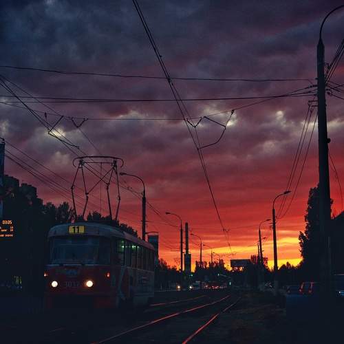 Photo #11388070