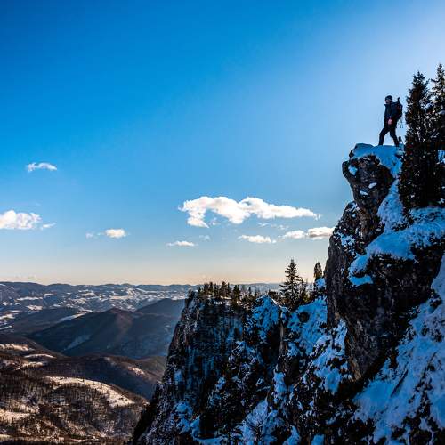 Photo #11388101