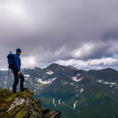 Photo #11388156