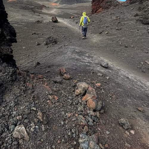 Photo #11388192