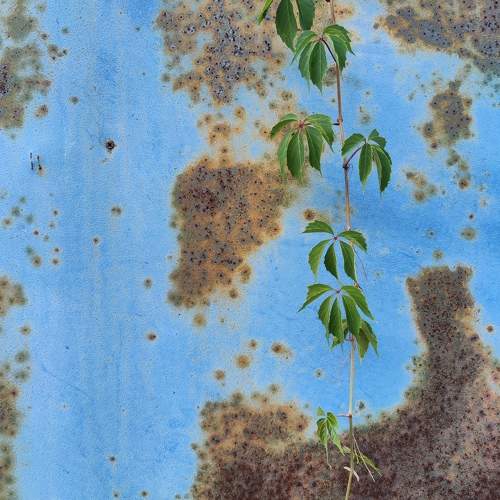 Photo #11388315